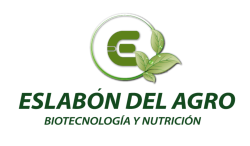Eslabon