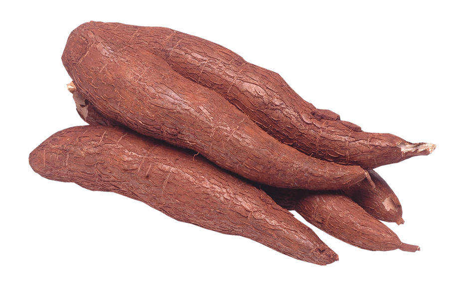 Yuca