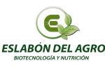 LOGO ESLABON-01 (1)